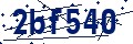 Código de seguridad