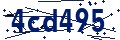 Código de seguridad