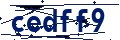 Código de seguridad