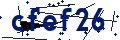 Código de seguridad