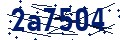 Código de seguridad