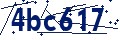 Código de seguridad