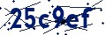 Código de seguridad
