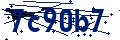 Código de seguridad