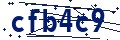 Código de seguridad