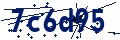 Código de seguridad