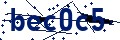 Código de seguridad