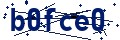 Código de seguridad