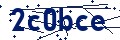 Código de seguridad