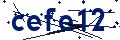 Código de seguridad