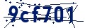 Código de seguridad
