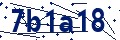 Código de seguridad