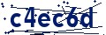 Código de seguridad