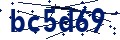 Código de seguridad