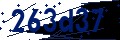 Código de seguridad