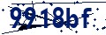 Código de seguridad