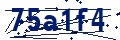 Código de seguridad