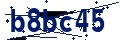 Código de seguridad