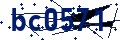 Código de seguridad