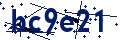 Código de seguridad