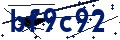 Código de seguridad