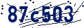 Código de seguridad