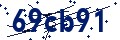 Código de seguridad