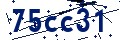 Código de seguridad
