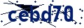 Código de seguridad