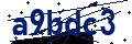 Código de seguridad