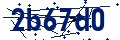 Código de seguridad