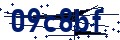 Código de seguridad