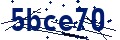 Código de seguridad