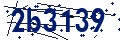 Código de seguridad