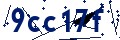 Código de seguridad