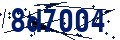 Código de seguridad