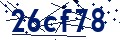 Código de seguridad