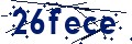 Código de seguridad