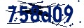 Código de seguridad