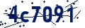 Código de seguridad