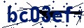 Código de seguridad