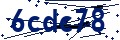 Código de seguridad