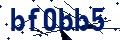 Código de seguridad