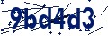 Código de seguridad