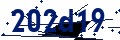 Código de seguridad