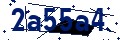 Código de seguridad