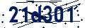 Código de seguridad