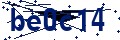 Código de seguridad