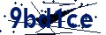 Código de seguridad