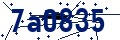 Código de seguridad